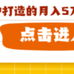意云丰用户专享：基于个人IP打造的月入5万互利型高产项目